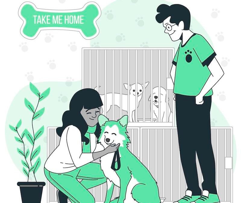 Puppy Playground: The Ultimate Destination for Your Furry Best Friend in Ben Davis Village