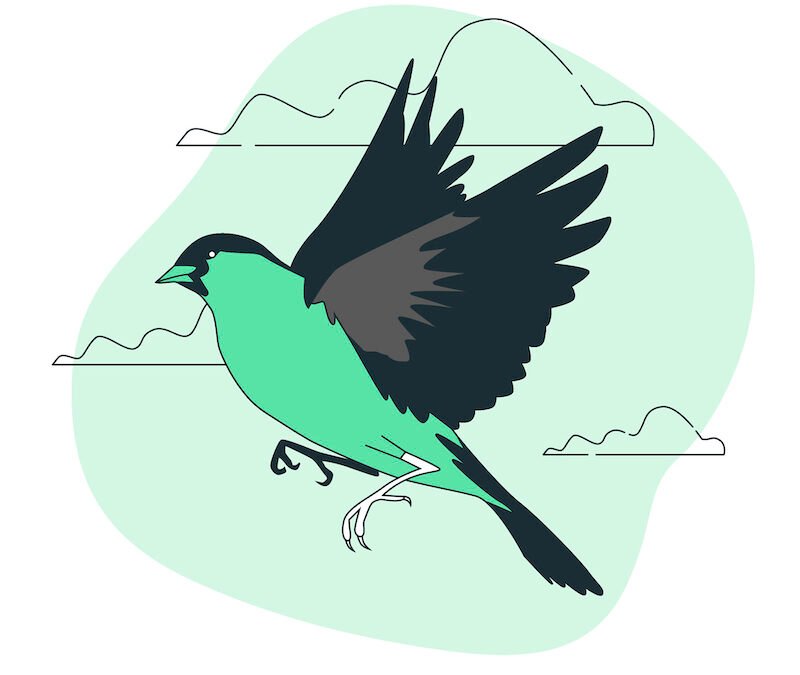 Birding in Your Backyard: A Fun and Relaxing Hobby for Nature Lovers