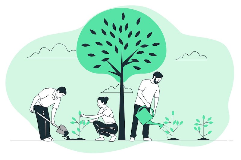 Keeping a Healthy Lawn: A Homeowner’s Guide to a Vibrant, Green Yard