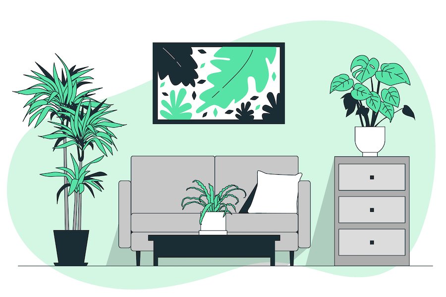 Decorating Your Rental: Fun and Budget-Friendly Ideas to Personalize Your Space