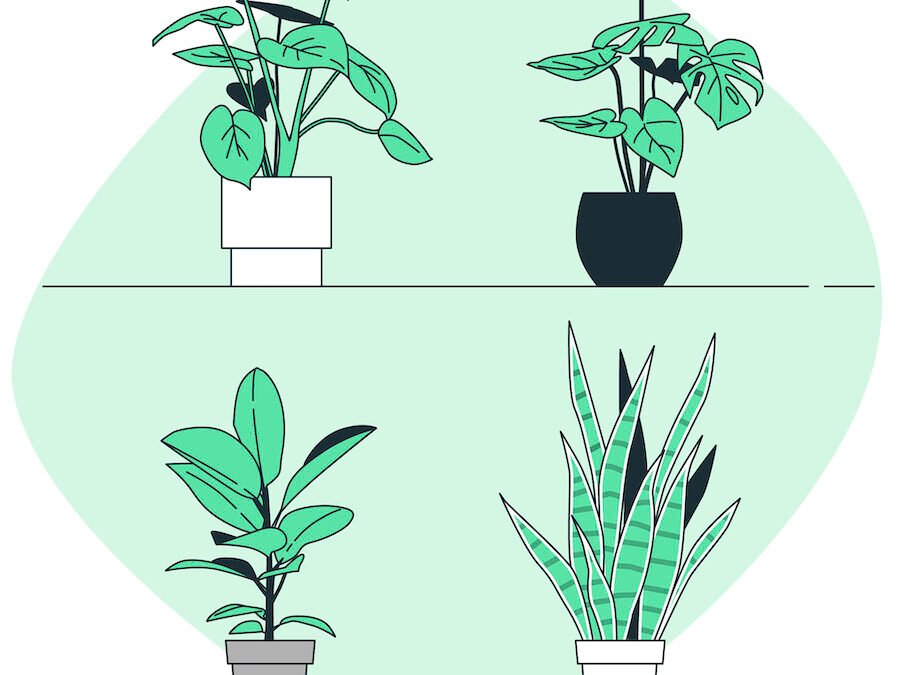 Curb Appeal Makeover: Easy Landscaping Ideas for Indiana Homes in Zones 5 and 6
